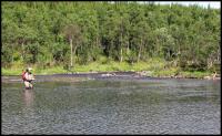 Bifogad bild: norge2010augusti083.jpg